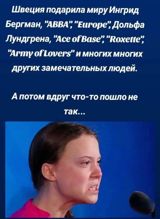 dama bez sobachky tweet media