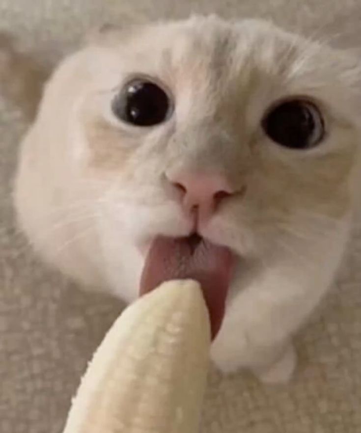 Saw this and thought on oomf (not gonna say who)