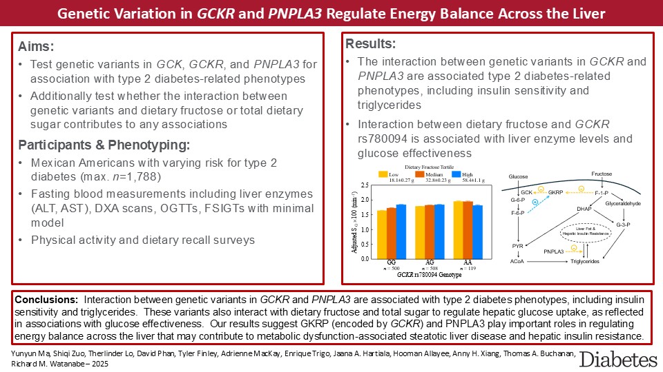 Our latest work appears in July issue of <a href="/Diabetes_ADA/">Diabetes, a research journal of the ADA 🧪</a>.  How some #genetic variants may affect #LiverFat and their interaction with dieatry #fructose.  Many thx to my #students for brining this all together.  

#Diabetes  #Physiology