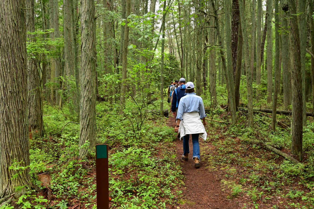 nj_pinelands's tweet photo. The ninth annual Pinelands Summer Short boasts 11 educational programs and four field trips, including a guided hike of the 1808 Trail in Wharton State Forest. Tap here for info and to register: https://t.co/0N0Utw0QXJ

#stocktonuniversity #njstateparks #hiking #hike #pinelands https://t.co/fVSaDAFvU6