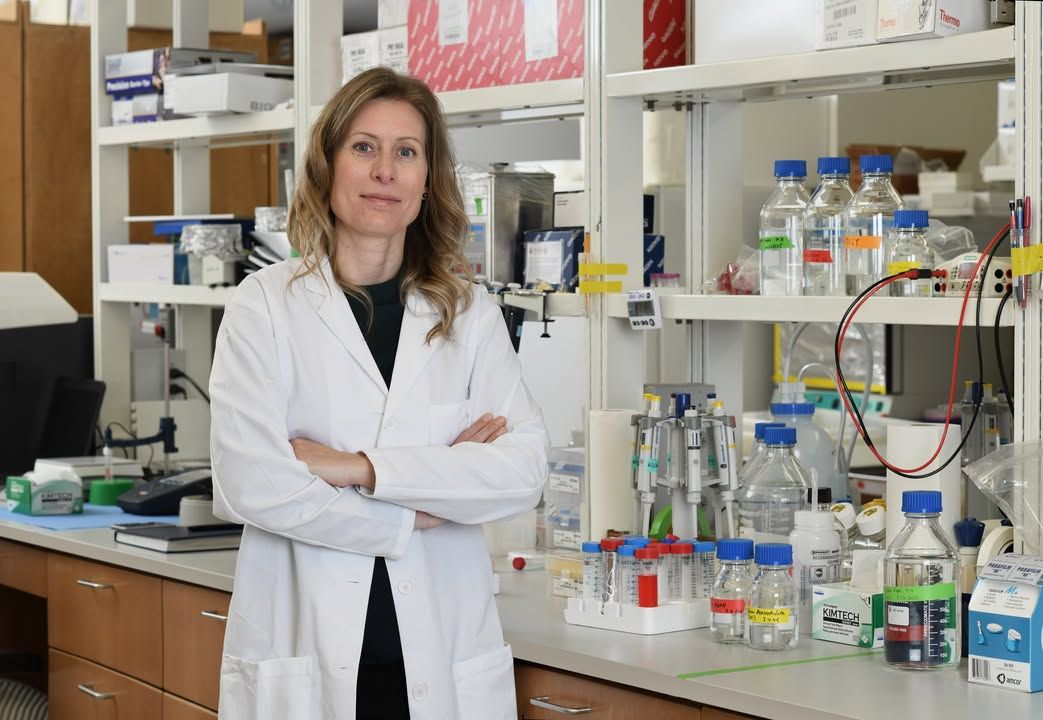 KUMedCenter's tweet image. Kristy Brown, Ph.D., associate professor at @KUMedicine and co-leader of @KUcancercenter's Cancer Prevention and Control research program, was awarded a four-year, $800,000 grant from the @TheVFoundation for her team's obesity and breast cancer research: bit.ly/44exfpE