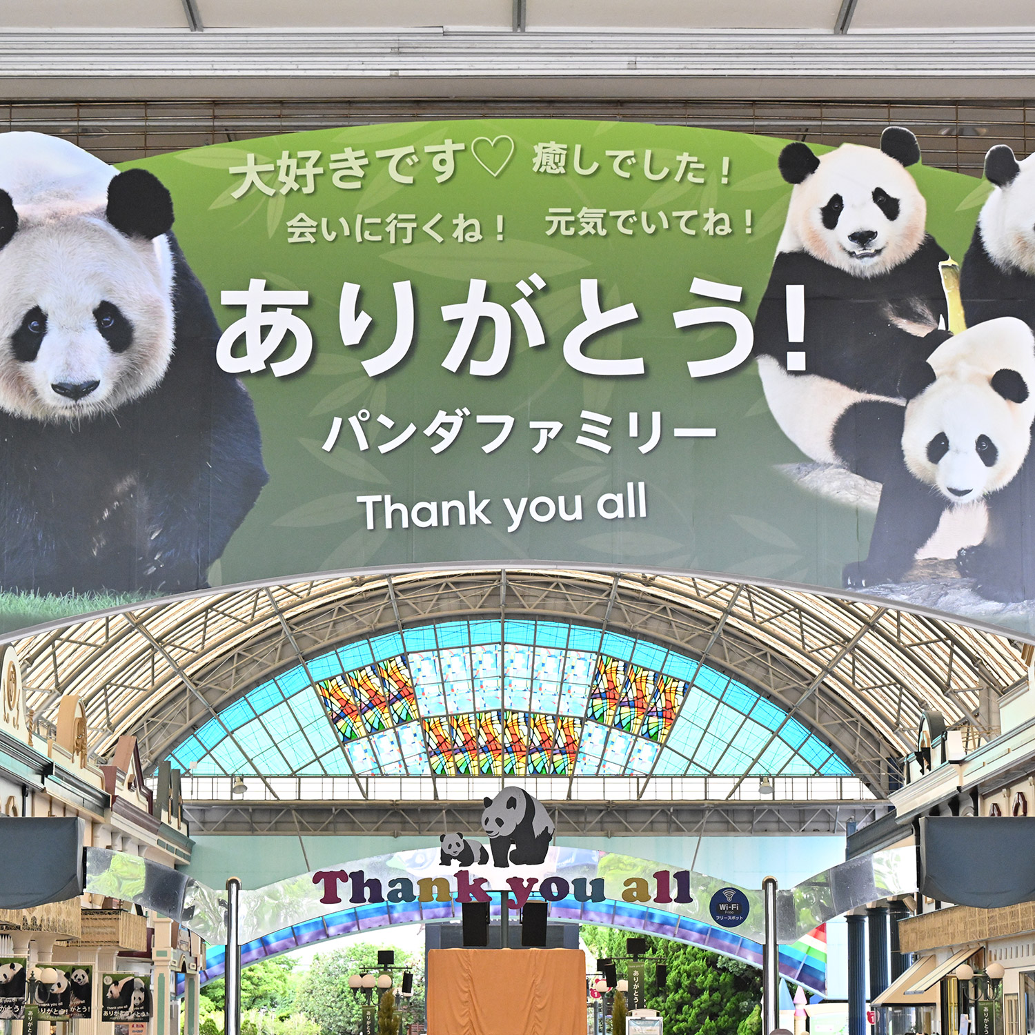 毎日パンダ on X: 