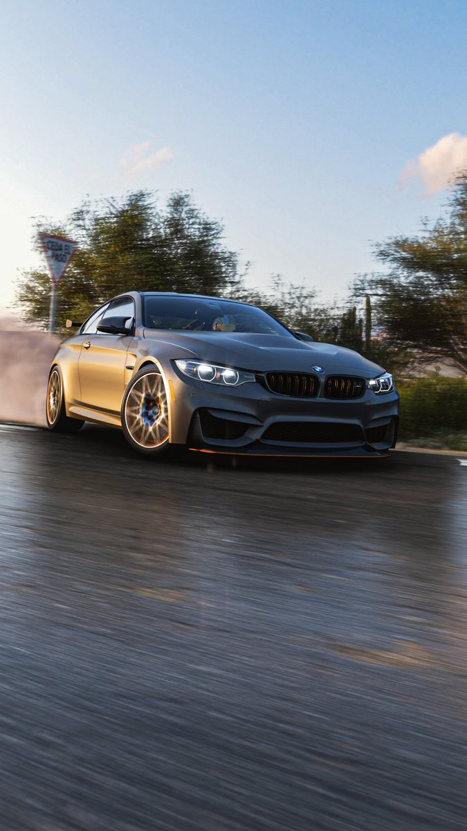 M4 GTS 
————
#BMW #ForzaHorizon5 #VirtualPhotography #VGPUnite #TheCapturedCollective #GSVP #VPRT #ThePhotoMode #photography