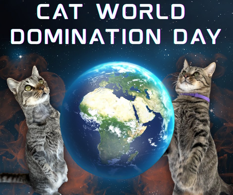 BlindCatRescue's tweet photo. 😼🌎 Happy Cat World Domination Day!

They already control our homes, our hearts, and our algorithms... so really, it's just a matter of time. Today we celebrate our feline overlords with:

👑 Extra treats (tribute)
📦 Cardboard throne upgrades
🐾 Unconditional surrender to belly rub traps