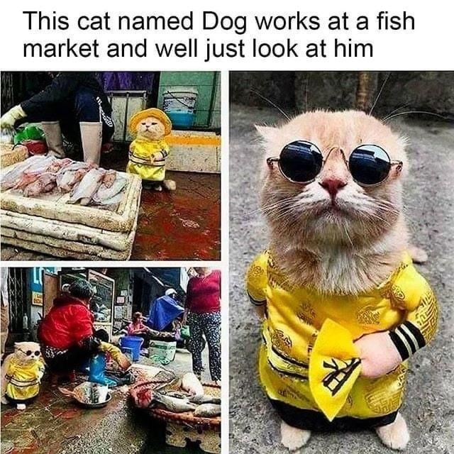 McNyale (@mcnyale) on Twitter photo 