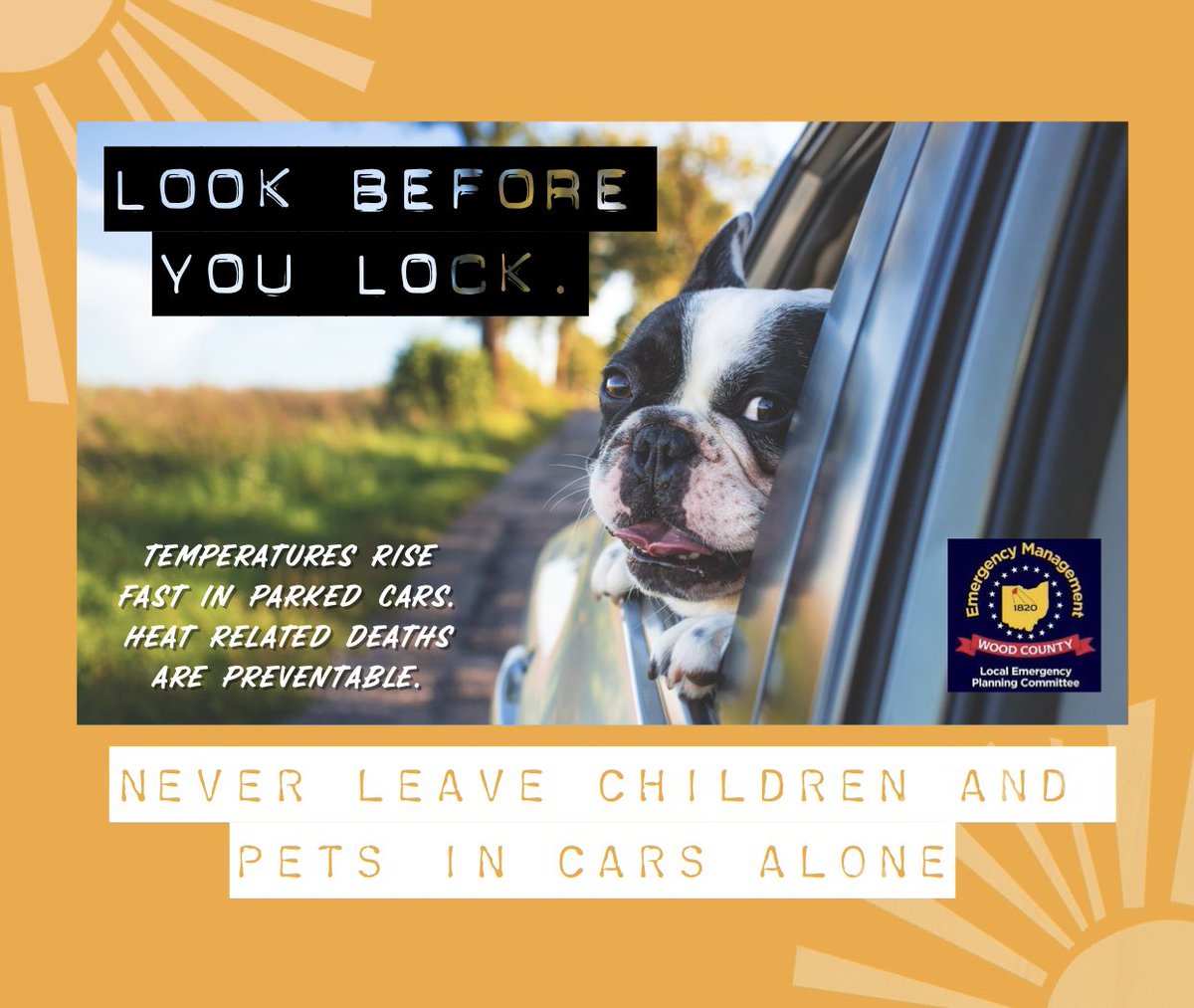 👀 Look before you Lock 🔐 

Never leave children or pets alone in 🥵 vehicles. Heat can rise in a 🚗, up to 20 degrees in just 10 minutes. #BeatTheHeat