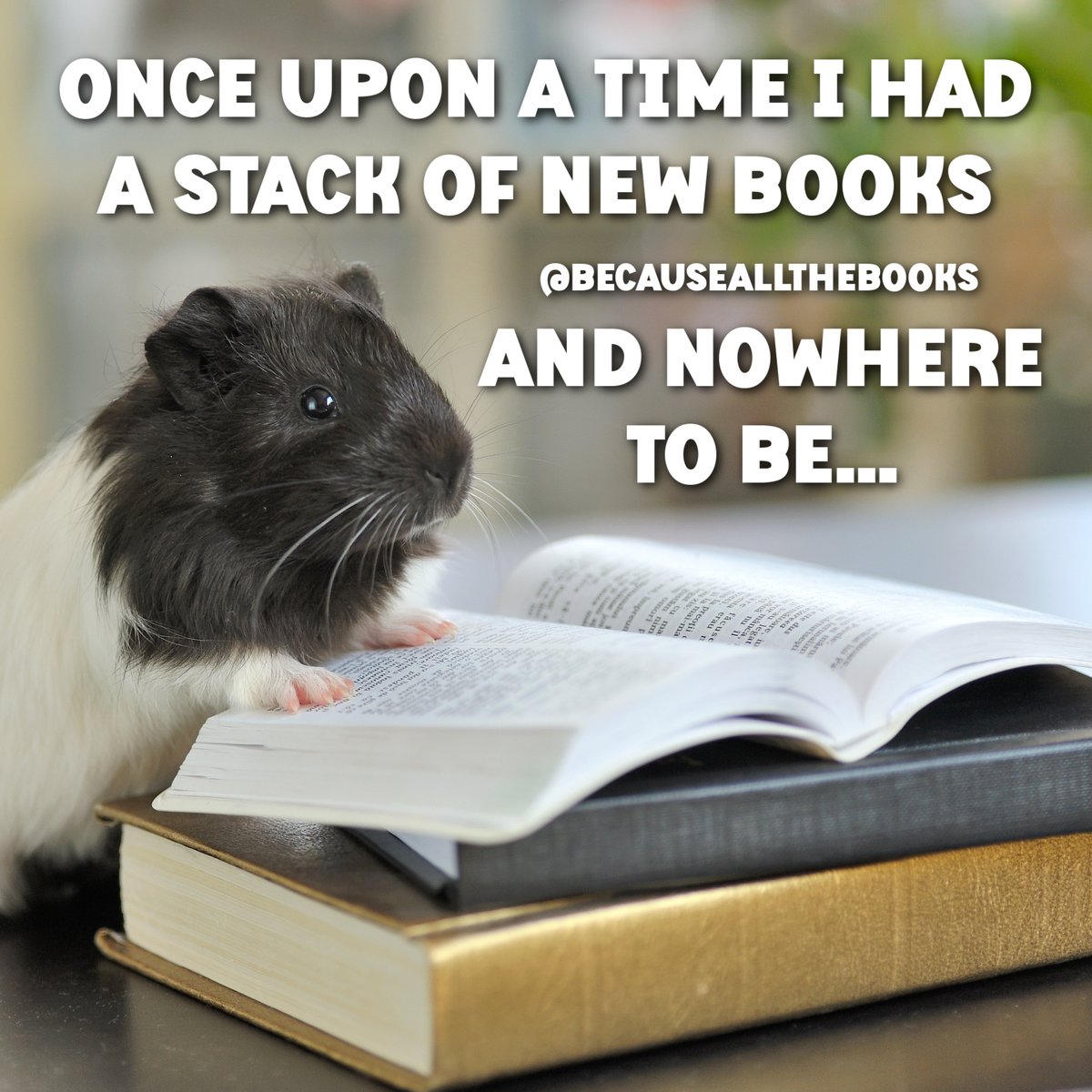 This sounds like a fantastic story. Tell me more!