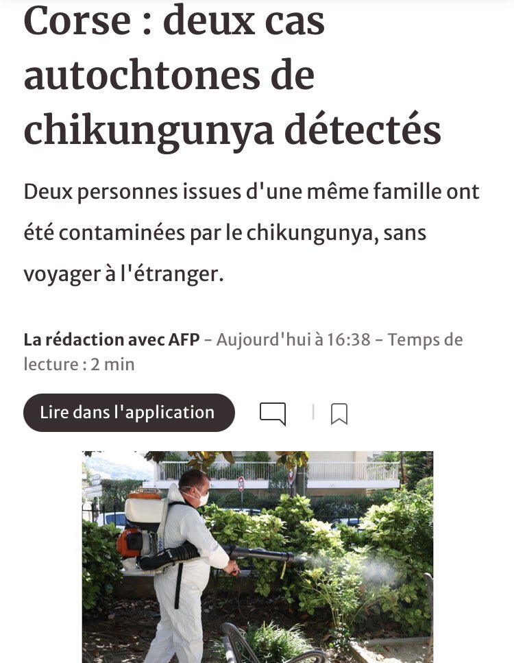 📢 Local #arbovirus transmission starting very early in the season‼️
🦠 2 #Chikungunya autochtonous cases notified in #Corsica; first time of this #Aedes-borne disease in the Region 🦟🇫🇷 
#TigerMosquitoes #VectorControl 
ledauphine.com/sante/2025/06/…
