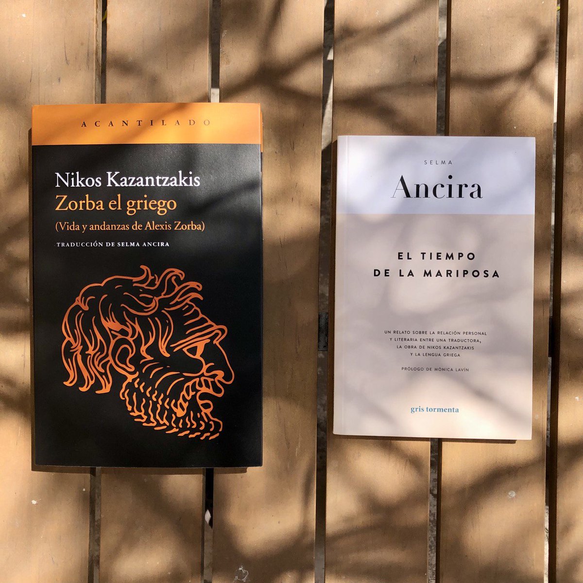 «Traducir un libro es experimentar una especie de metamorfosis. Es convertirte en el autor, seguir sus huellas, leer los libros que él leía [...] es adentrarte en el resto de su obra para situar, en el conjunto, el libro que traduces.

—Selma Ancira en 'El tiempo de la mariposa'