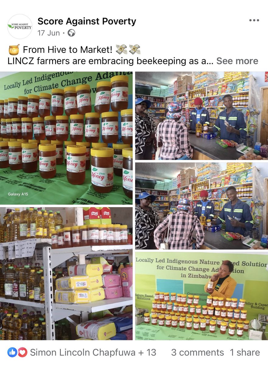 Honey Value Chain in rural Mwenezi, Zimbabwe under the Locally Led Indigenous Nature Based Solution for Climate Change Adaptation in Zimbabwe 

#LINCZProject 
#ScoreAgainstPoverty 
#GlobalAffairsCanada
#MennoniteCentralCommittee
#FoodSecurity
#ClimateResilience