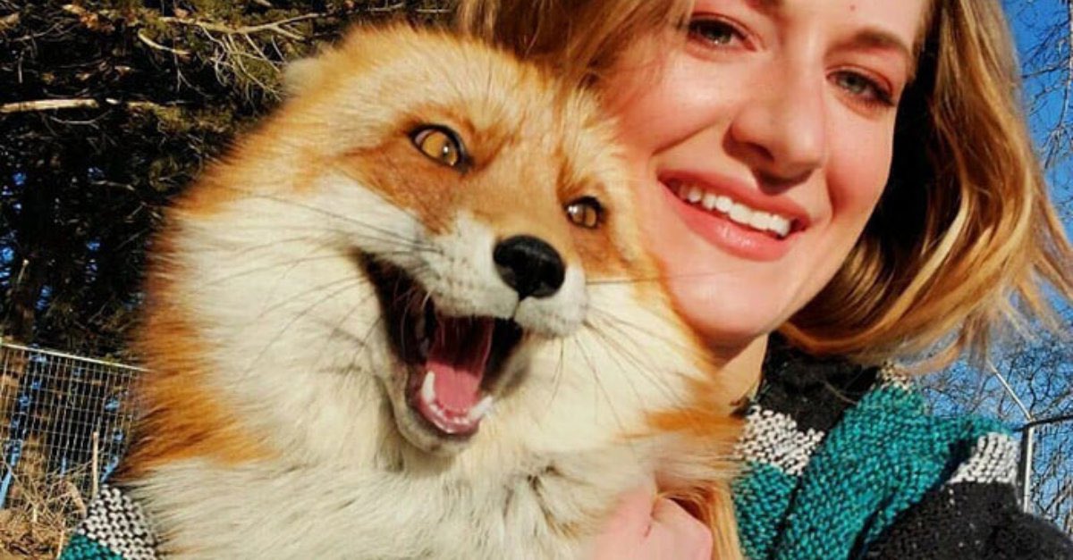 Devastating news about Mikayla Raines, founder of #SaveAFox who very sadly passed away two days ago. Mikayla saved over 5,000 animals. A very special person &amp; true animal hero. Bullying by keyboard warriors &amp; others is truly Reprehensible!  RIP Mikayla 🙏🏻🦊