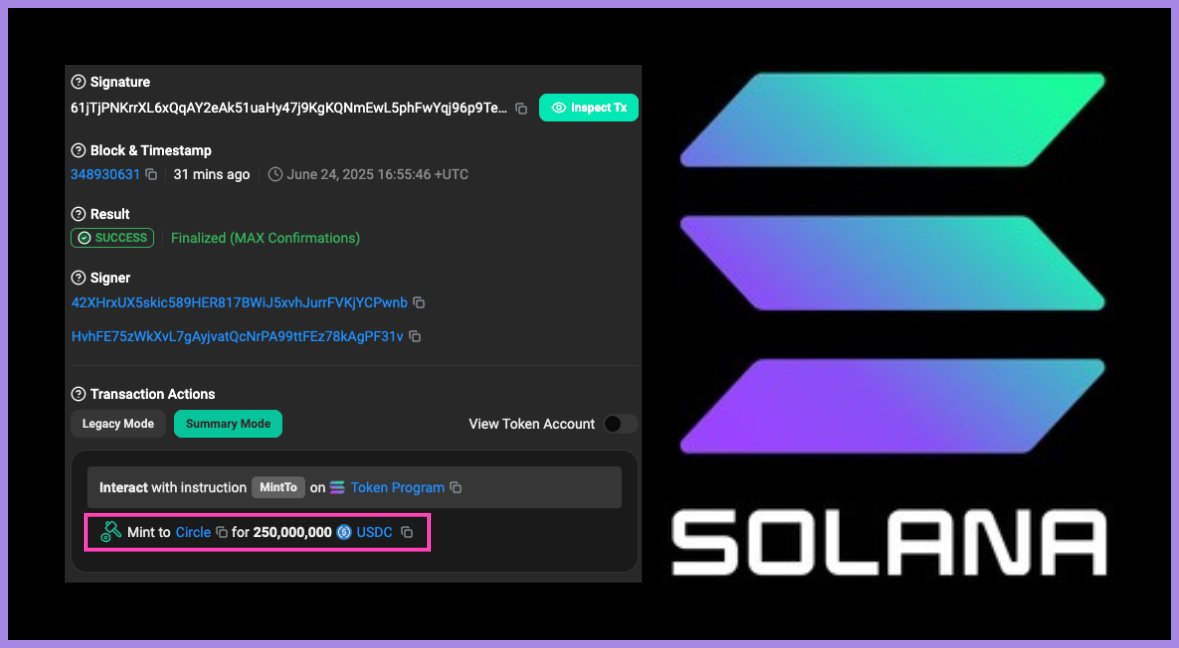 🚨  JUST IN:    $250 MILLION $USDC minted on SOLANA.

Massive $SOL Ecosystem Pump COMING SOON!

#SOLANA ⚡️