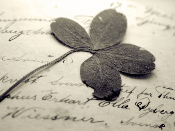 <a href="/Broken74_/">Señor Roto</a> El verso más hermoso 
destila claridad, luz, color,
oscuridad, negro, 
soledad, compañía,
alegría, tristeza,
risas y llanto 
y
lo hace desde la
verdad de esos vómitos que,
encajados en el hígado,
vestimos de letras
que respiran y
suenan

Letras que cobran
vida en manos
rotas
_/