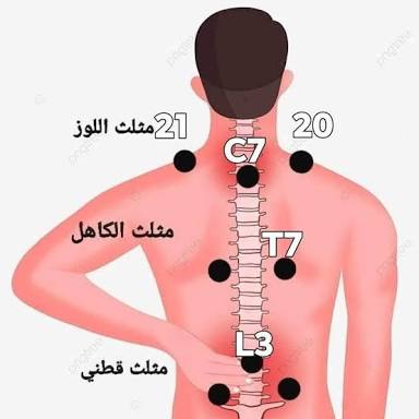 TrustinglnGod's tweet photo. مثلث الكاهل

يقع في منطقة الكاهل بين الفقرة الصدرية السابعة T7 والفقرتين المجاورتين لها T6 وT8 وتُعتبر نقطة الكاهل T1 في منتصف المثلث
واكتشف العلماء حديثاً أن منطقة مابين الكتفين والكاهل هي أضعف الأماكن في الدورة الدموية مما يجعلها منطقة صالحة لترسيب المواد الضارة والخلايا المتكسرة والهرمة في الجسم في هذه المنطقة