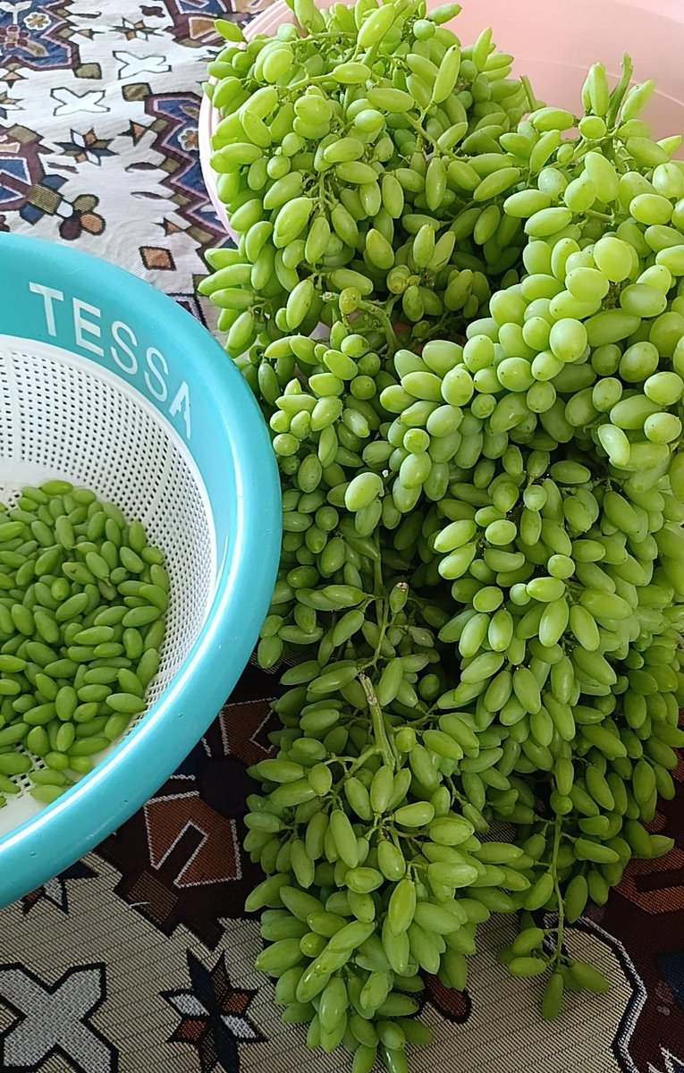 زندگی جریان داره 😍
برای شما چی؟!)