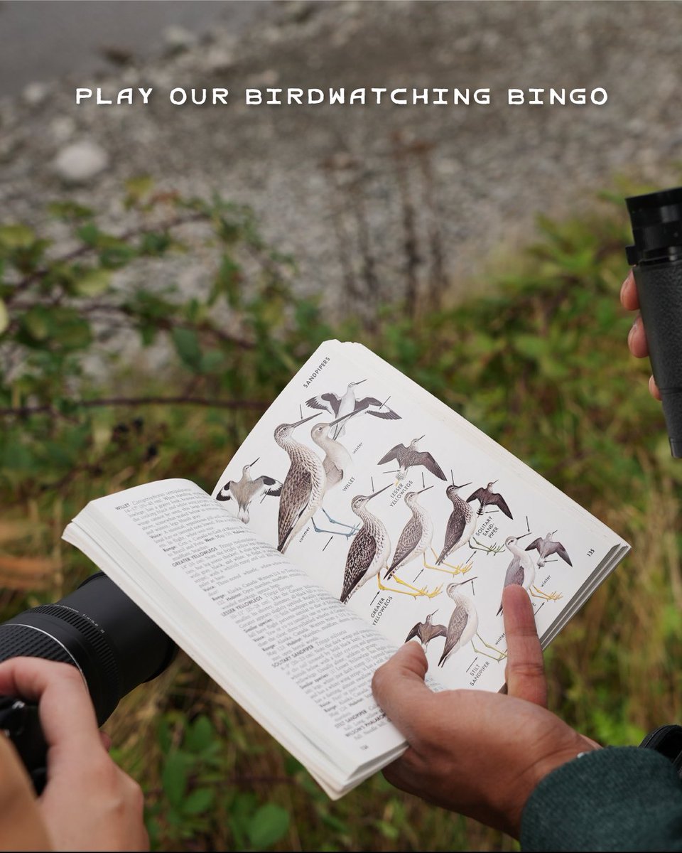 The BC Bird Trail tweet media