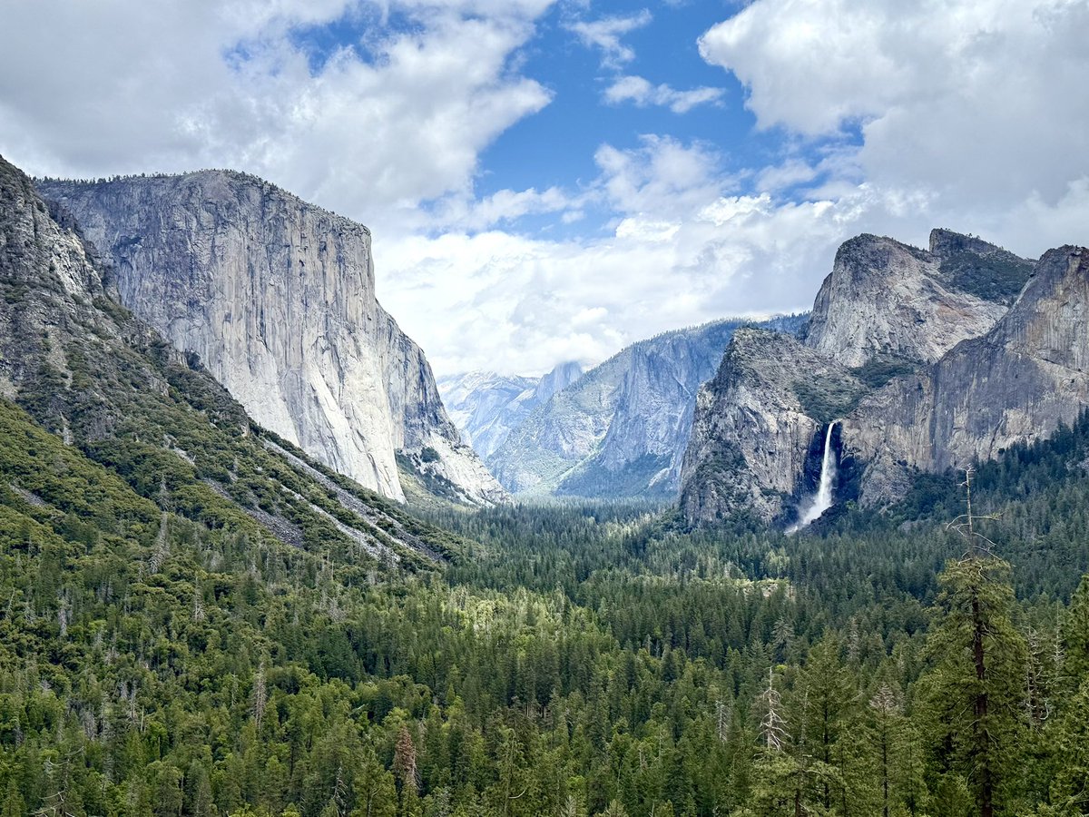 AMcDiarmid's tweet image. It’s a good day to wear my John Muir socks! Found them while enjoying the breathtaking scenery at @YosemiteNPS. If you haven’t been there yet, go. #johnmuir #mountains #nature #yosemite