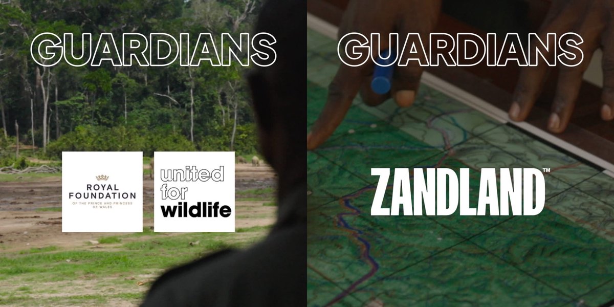 Prince William and United for Wildlife's Guardians series has now been viewed over 10 million times across social media 👏🏻🌍🎬

© Zandland™️