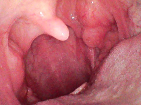 InkyPiggyy's tweet photo. POV: Where you started.. and where you ended up😈

#tummytuesday #vore #vorepred #voreprey #vorecontent #voretwitter #vorekink #vorefetish #maw #mawshot #samesizevore #giantessvore #vorepov #navel #bbw #fatgirls #fatwomen #fatty #chubbygirl #bigbelly #fat #TummyTuesday #belly https://t.co/fWCad5PVrX