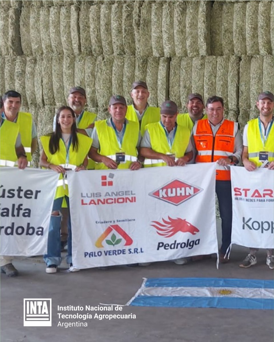 IntaManfredi's tweet photo. De Arroyito al mundo: #alfalfa de exportación con apoyo de #INTA 🌿
👨🌾 Lucas González Martínez es productor y este año vendió 1100 toneladas de rollos con destino a exportación gracias al proceso de innovación tecnológica con el Clúster de Alfalfa, en convenio con #INTAManfredi. https://t.co/l9eUhr5MDL