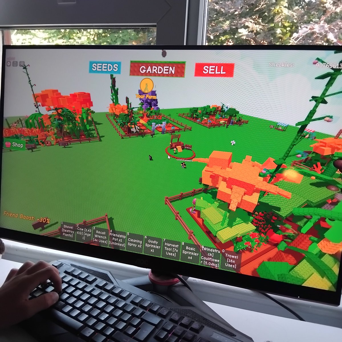 Apparently 'Grow a Garden' on RoBlox is very popular right now. 2.1 million players this evening. Educational I guess. Maybe it'll lead to real gardeners.