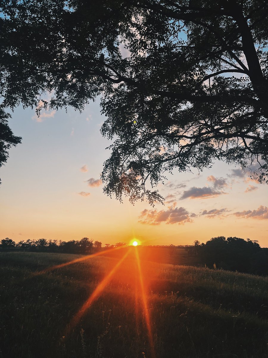 настрій такий: 
гуляти тут з собакевичами і плакати під вівʼєн морт