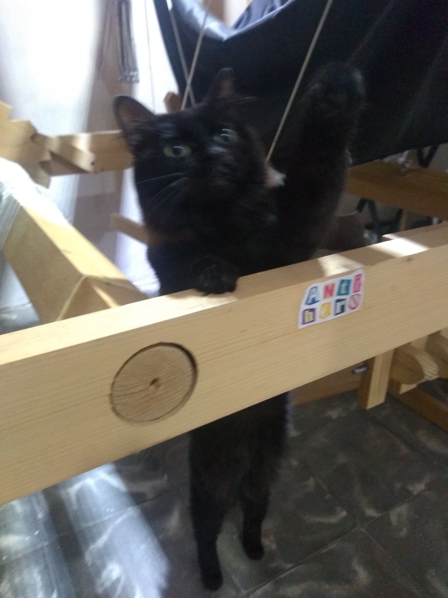 anoche quería tejer pero no pude levantarme del piso