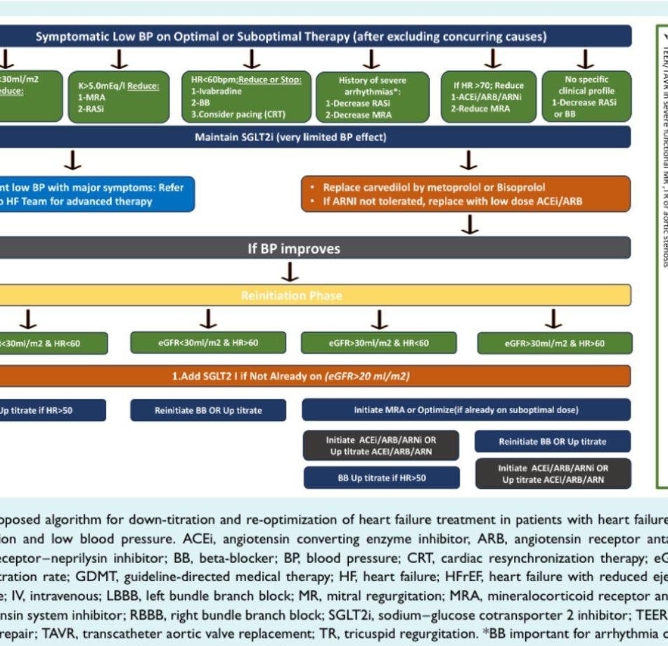 🔴Clinical management &amp; therapeutic optimization of patients with HFrEF &amp; low BP.⤵️  
🔹A 2025 clinical consensus statement of the Heart Failure Association (HFA) of the ESC #FreeToRead  

🔹onlinelibrary.wiley.com/doi/epdf/10.10… 
 #Cardiology #FOAMed #MedEd #medstudent #paramedic #Cardiology