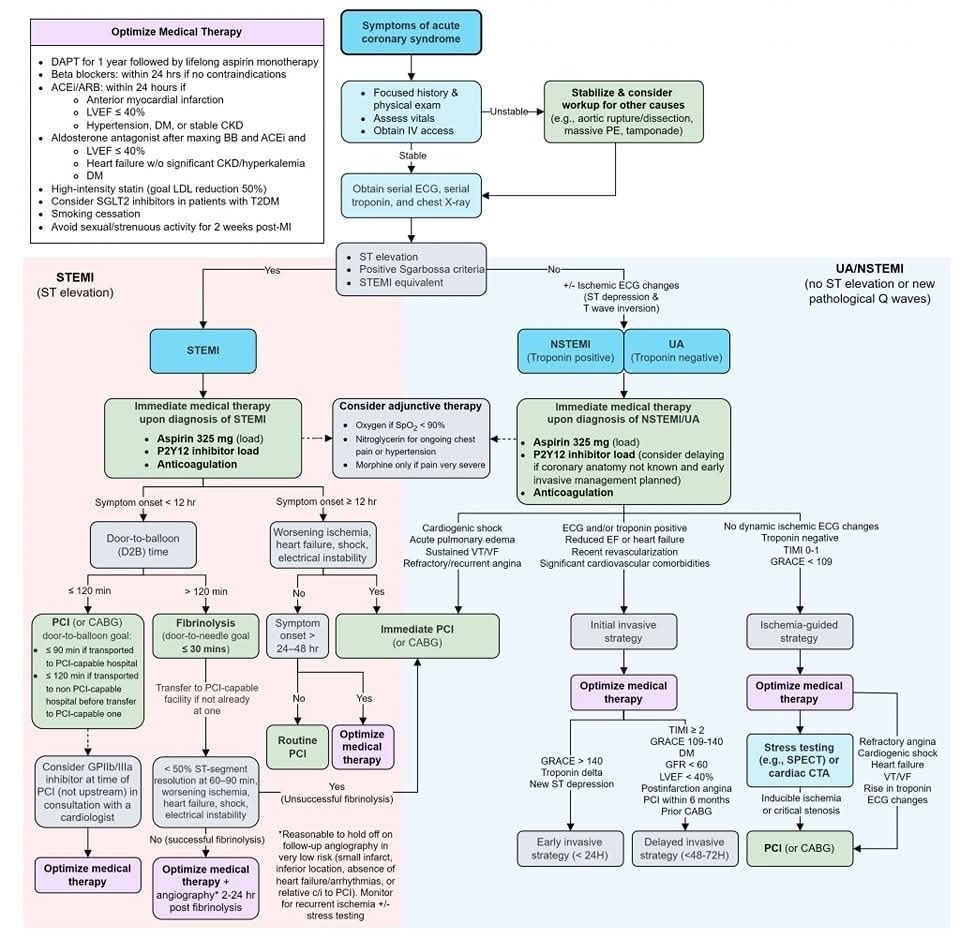 🔴 Acute Coronary Syndrome - Management Algorithm
 ✅ STEMI
 ✅NSTEMI (Troponin Positive) / Unstable Angina (UA, Troponin Negative)
✅Management:
    • PCI
    • Fibrinolysis
    • Immediate Medical Therapy
    • Optimize Medical Therapy
#Acute #Coronary #Syndrome #ACS