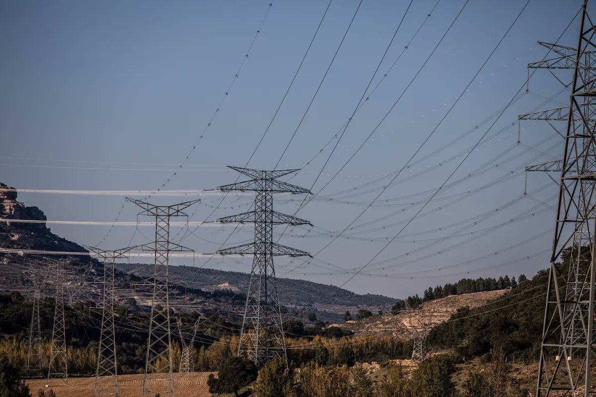 Zoe Schneeweiss tweet media