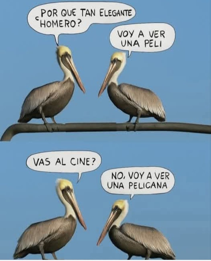 #Fachis #Risas
Kjjjajjajjajjaja