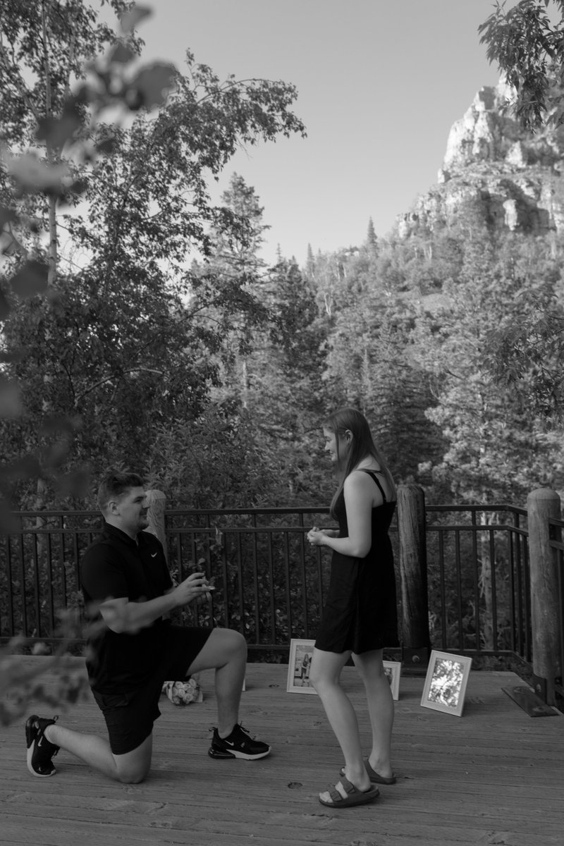 Wings Fans!
Please join us in congratulating our Head Equipment Manager, Alex Laven and Fiancé Sara Fuchs, as they got ENGAGED over the weekend!
Congratulations from the #WingsFamily! 💍🍾