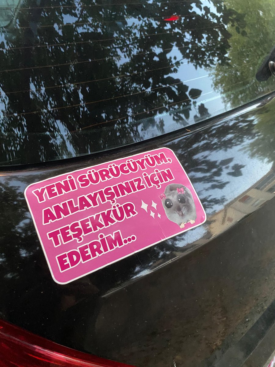 Arabamin kusuruna bakmayin oglanlar