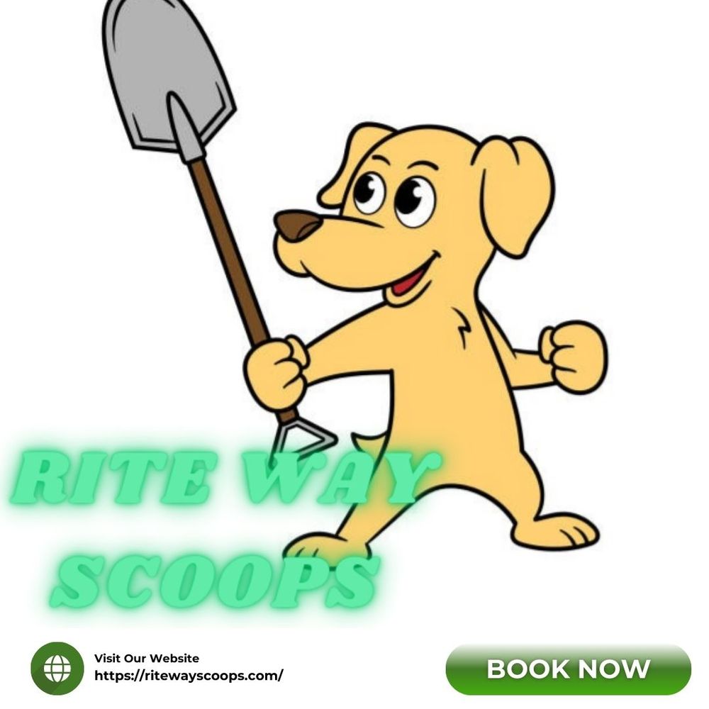 Ritewayscoops's tweet image. Stop stressing over messy yards! Our pooper scooper service fits your needs with weekly, bi-weekly, monthly, and even emergency scoops available. Call now!
#PooperScooper #SpokaneWA
ritewayscoops.com/pooper-scooper