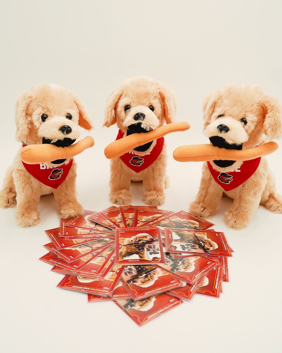 Plush - ✅ 
Pawtographed Baseball Card - ✅
Bundle - Still waiting for you🐶🐾

🛍️ redwings.milbstore.com/collections/br…