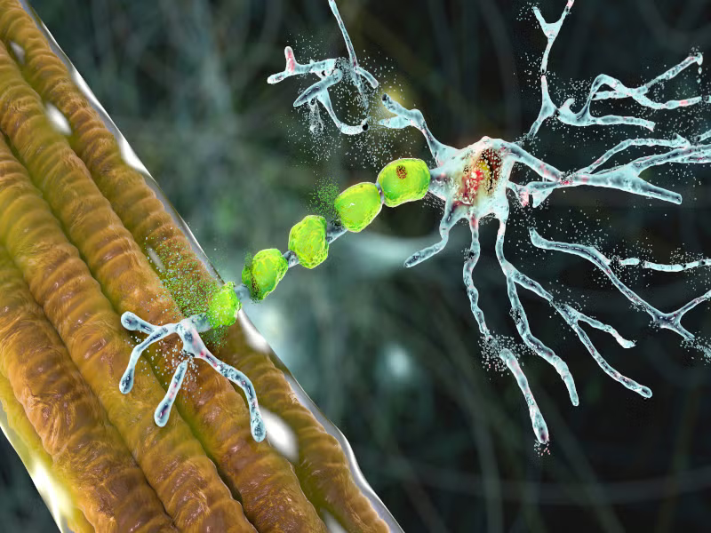 Just 1 day until the NINDS Nonprofit Forum! 🎉 Spotlight on 2023: FDA approved the first genetic ALS treatment—Qalsody! A breakthrough year. Follow <a href="/NIH_NINDS/">NINDS</a> and us to learn more! #NINDS75 #ABrainCoProud