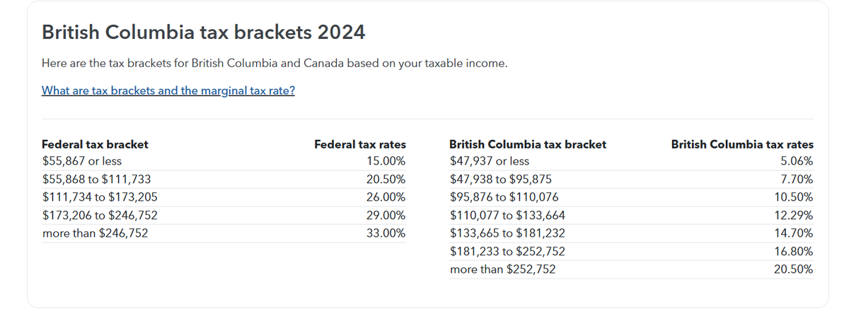 fractiousvoice's tweet photo. @KT_Leafs @SkidSteer963 @OpinionatedCan1 Taken from the TurboTax site. https://t.co/vUSjQdq879