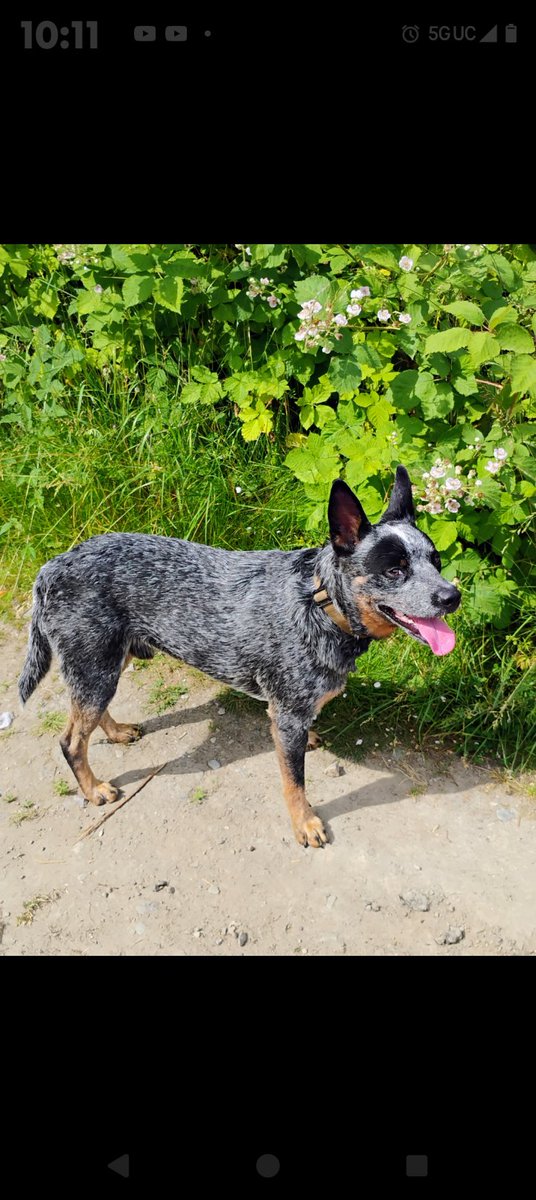 Morally Flexable tweet media