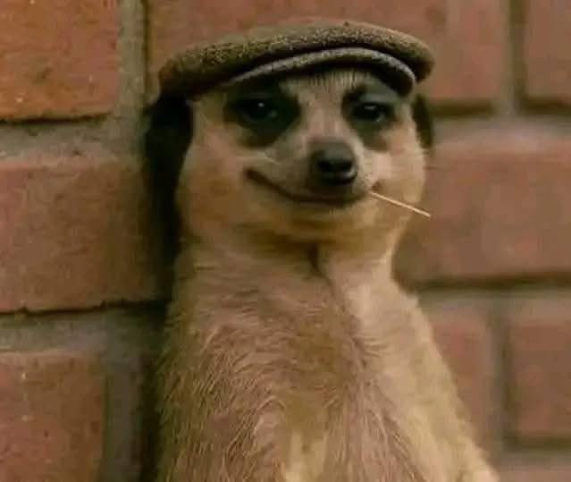 I'm tired of pretending, what's the name of this creature?