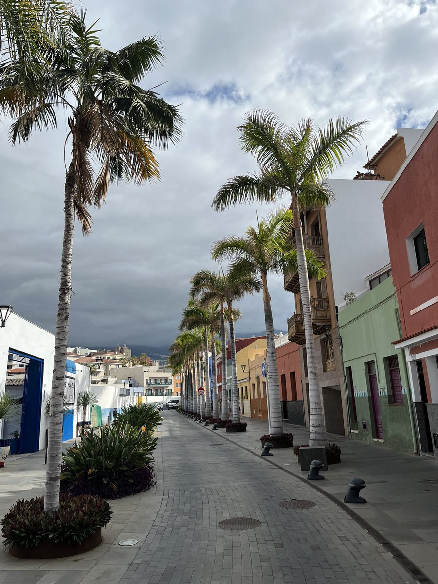 Constan03379811's tweet photo. Tenerife https://t.co/mGCGgUSGCx