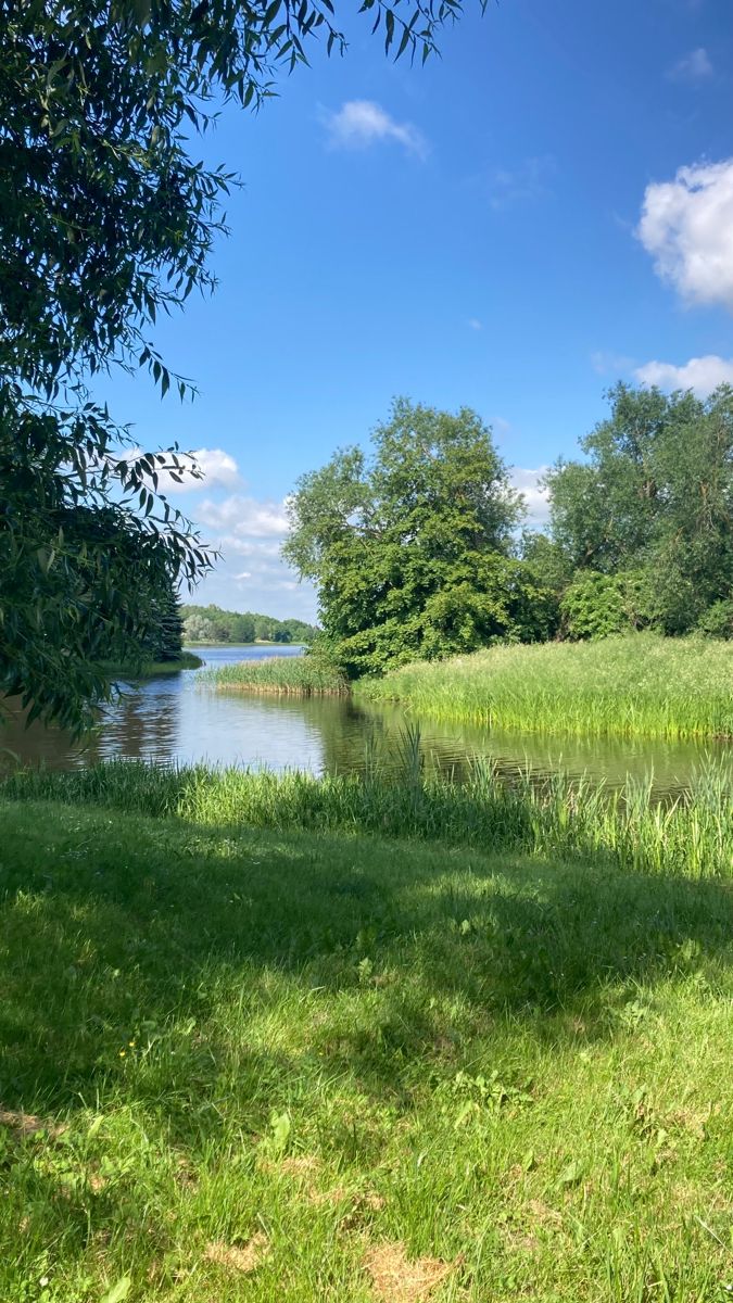 ᅠ ᅠ (@greendreaams) on Twitter photo 