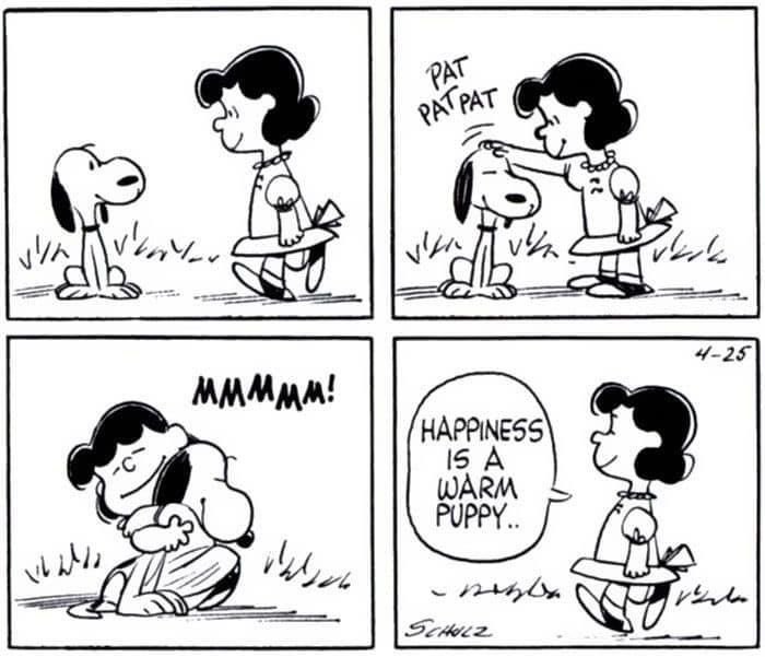 Daily Snoopy (@dailysnoopys) on Twitter photo 