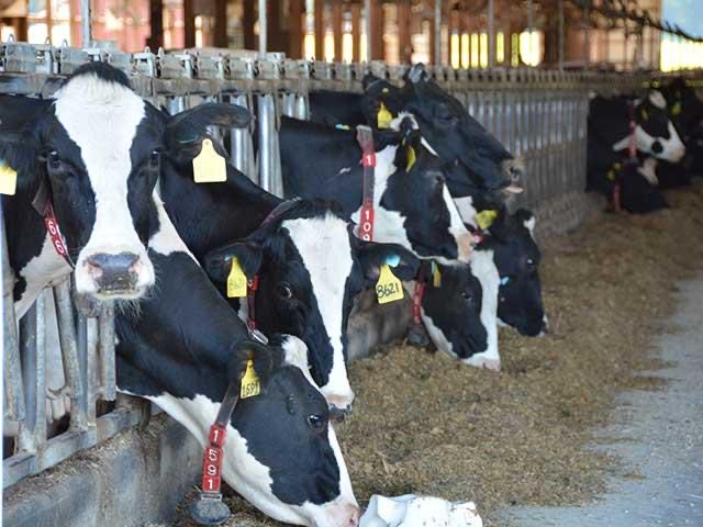 Wisconsin Supreme Court Upholds State Authority to Regulate PFAS Without Rulemaking 

dtnpf.com/agriculture/we…