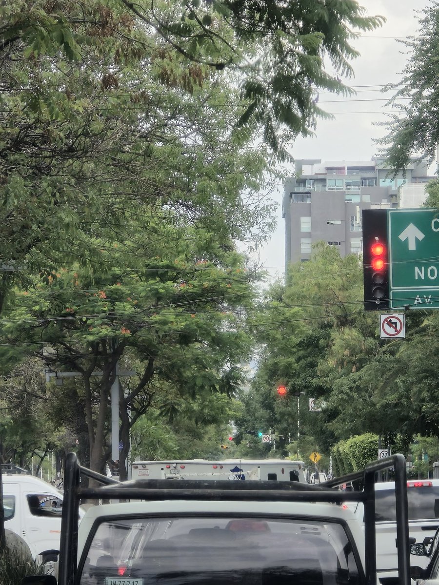 ColonosBosques's tweet photo. Todos los semaforos de Av. Chapultepec totalmente desincronizados, lo que te lleva 5min recorrer ahora lo haces en 15 o más. @AgenciaAMIM @JaliscoVial @GobiernoJalisco @Trafico_ZMG https://t.co/mctT0Hba20