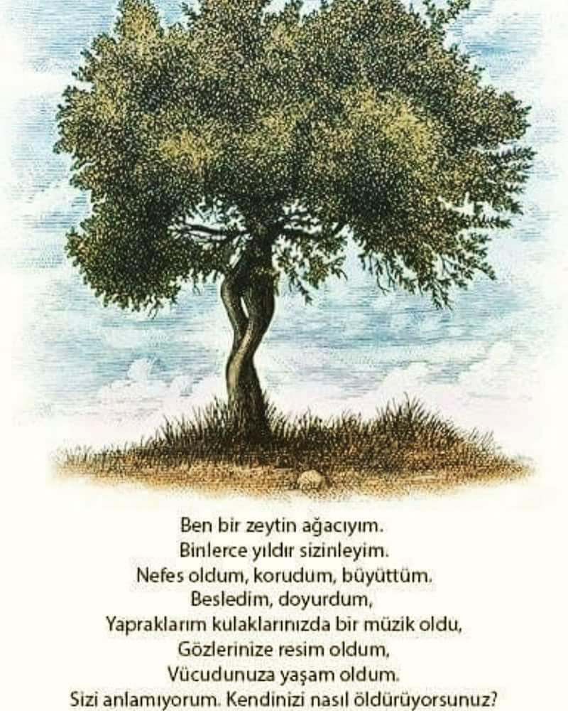 recep tankal (@rcptnkl05) on Twitter photo 