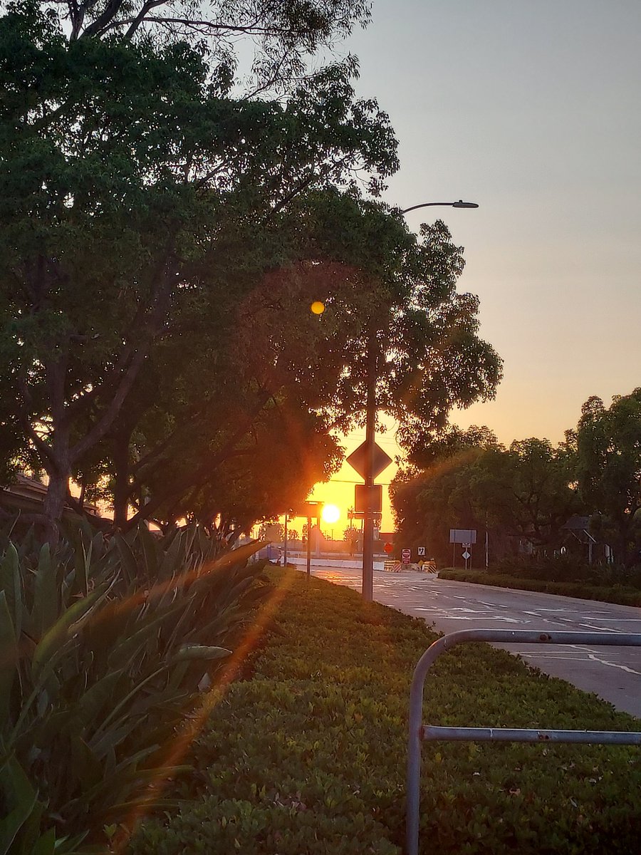 Julia (@julialovesgreen) on Twitter photo Yesterday's evening walk. I needed it. Grateful for God and my family. Beyond blessed. <a href="/StevesLoveTarot/">Steve's Love Tarot (Official)</a> <a href="/sexysoultribe/">SLT’s Sexy Soultribe</a> Yesterday's evening walk. I needed it. Grateful for God and my family. Beyond blessed. <a href="/StevesLoveTarot/">Steve's Love Tarot (Official)</a> <a href="/sexysoultribe/">SLT’s Sexy Soultribe</a>