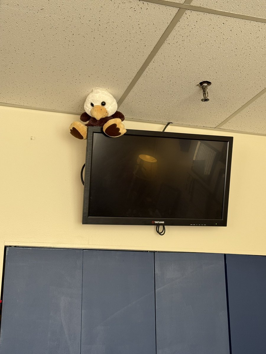 David Huber, Ed. D. tweet media