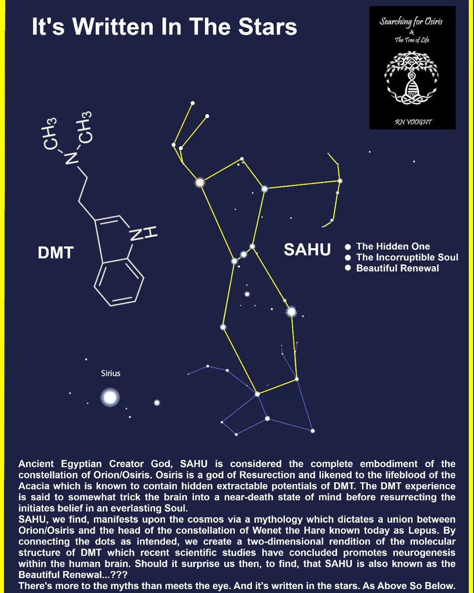 It's Orion's Belt, albeit Osiris ✨️
As Above So Below 
#Pyramid #death #resurrection 
⚠️⚠️⚠️
grahamhancock.com/vooghtr3/