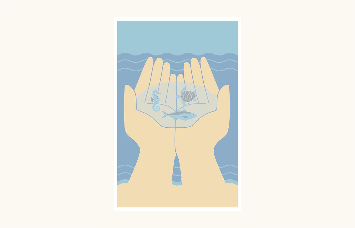 Non o perdas! Últimos días da exposición "Un mar de preguntas" para gozar das ilustracións de Roque Araújo coas que o biólogo mariño Javier García Galdo, dá resposta a cuestións como para qué sirve unha balea ou por qué o mar é azul?

📌 Ata o 30 de xuño na FNAC da Coruña.