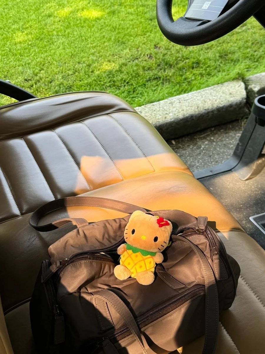 FemmeInCommand's tweet image. Focus sharp. Grip strong. Game on. I didn’t come to play, I came to win.
#GolfGrind #LockedIn #NextHolePlease #SwingHard #PlayToWin #GolfGoals #ChasingPars